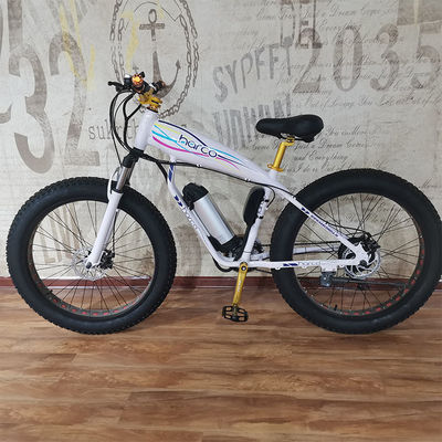 48V 500W Ηλεκτρικό ποδήλατο ισχύος για την άσκηση ισορροπία και Ρέτρο Βίντεζ Ebike περιπέτειες