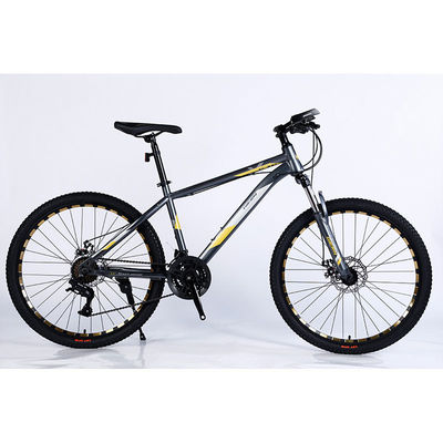 Βιώστε το συναρπαστικό 24 Speed Fat Mountain Bike με διπλό περίβλημα και μεγάλα ελαστικά