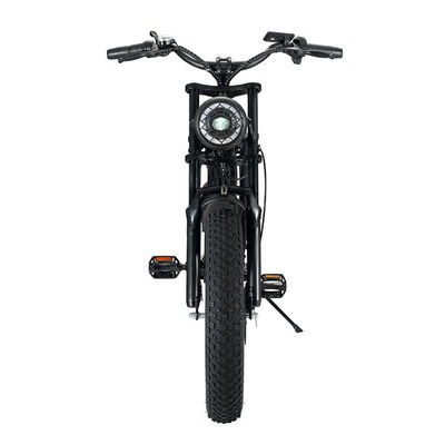 Δυνατός 750W V8 κινητήρας 20 ιντσών Fat Tire Ηλεκτρικό ποδήλατο βουνού με 48V 15ah μπαταρία