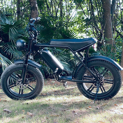 Δυνατός 750W V8 κινητήρας 20 ιντσών Fat Tire Ηλεκτρικό ποδήλατο βουνού με 48V 15ah μπαταρία