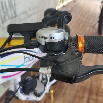 48V 500W Ηλεκτρικό ποδήλατο ισχύος για την άσκηση ισορροπία και Ρέτρο Βίντεζ Ebike περιπέτειες