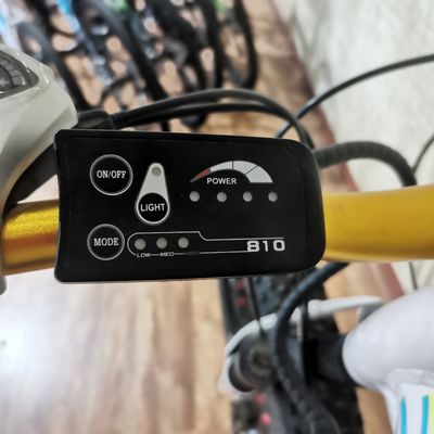 48V 500W Ηλεκτρικό ποδήλατο ισχύος για την άσκηση ισορροπία και Ρέτρο Βίντεζ Ebike περιπέτειες