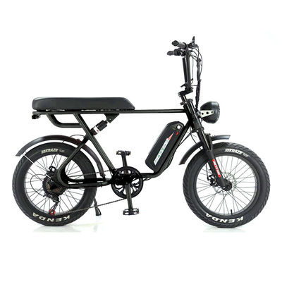 Εξωτερική Περιπέτεια 20*4.0 Kenda Fat Tire Double Disc Brake Mountain Bike για εφήβους