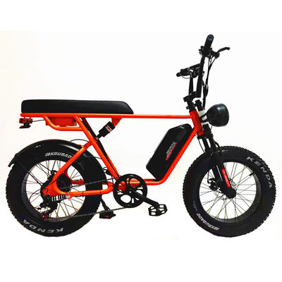 Εξωτερική Περιπέτεια 20*4.0 Kenda Fat Tire Double Disc Brake Mountain Bike για εφήβους