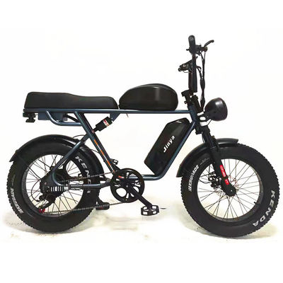 Εξωτερική Περιπέτεια 20*4.0 Kenda Fat Tire Double Disc Brake Mountain Bike για εφήβους