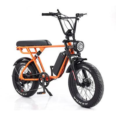Εξωτερική Περιπέτεια 20*4.0 Kenda Fat Tire Double Disc Brake Mountain Bike για εφήβους