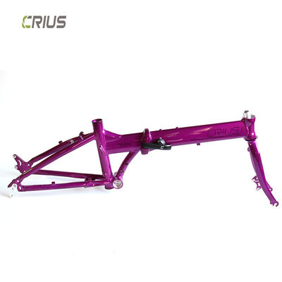9 ταχύτητες Crius 20 ιντσών Master D Folding Road Bike με V φρένο και άνδρες αγώνες