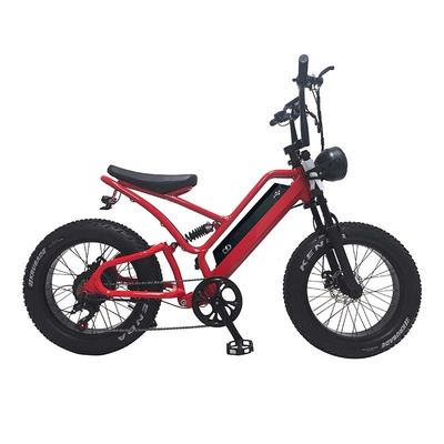 Ηλεκτρονικό ποδήλατο λιπαρό ελαστικό 48V10Ah μπαταρία λιθίου ταχύτητα 500W Brushless Spoke κινητήρα για snowmobiles