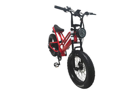Ηλεκτρονικό ποδήλατο λιπαρό ελαστικό 48V10Ah μπαταρία λιθίου ταχύτητα 500W Brushless Spoke κινητήρα για snowmobiles