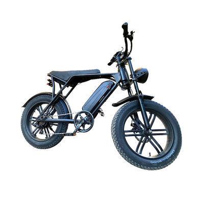 Ηλεκτρικό Fat Tire Snow Beach E-Bike με διπλό δίσκο φρένο και μπαταρία λιθίου