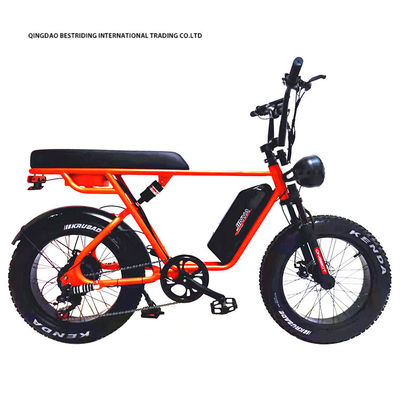 Διπλό δίσκο φρένο 48V 1000W Motor Ebike 20 ιντσών Ηλεκτρικό λάδι ελαστικό ποδήλατο με ελαστικό Kenda