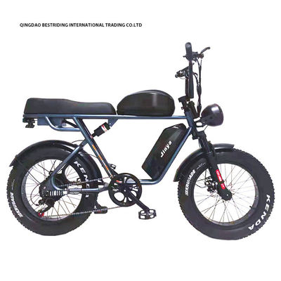 Προσαρμοσμένο 48V 1000W Ηλεκτρικό ποδήλατο 20 ιντσών παχύ ελαστικό Ebike με και 52V Lithium μπαταρία φορτιστή