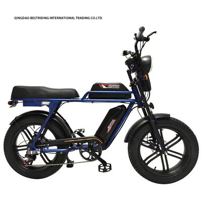 Προσαρμοσμένο 48V 1000W Ηλεκτρικό ποδήλατο 20 ιντσών παχύ ελαστικό Ebike με και 52V Lithium μπαταρία φορτιστή