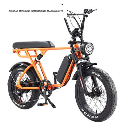 Προσαρμοσμένο 48V 1000W Ηλεκτρικό ποδήλατο 20 ιντσών παχύ ελαστικό Ebike με και 52V Lithium μπαταρία φορτιστή