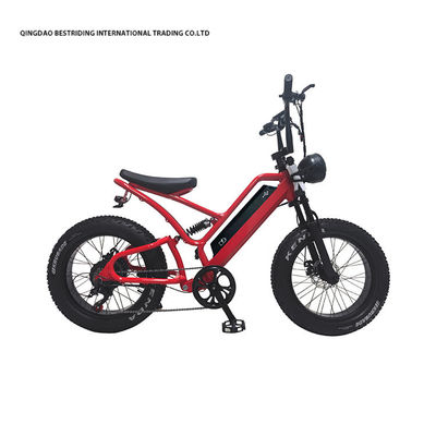 48V10Ah μπαταρία λιθίου 5000w Ηλεκτρικό ποδήλατο για ενήλικες 20 ιντσών παχύ ελαστικό Ebike