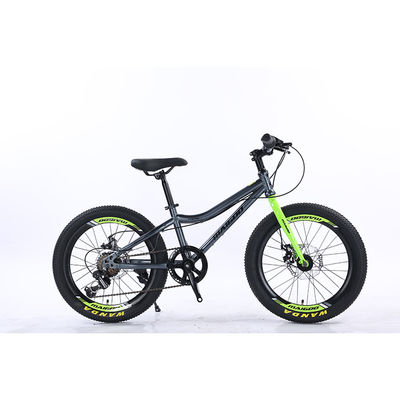 WANDA 20*2.125 Τεχνη 20" Ατσάλινο Mountain Bike 7SP Παιδικό ποδήλατο με ασφαλές και ανθεκτικό σχεδιασμό