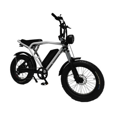 1460*320*840mm ΑΦΑΡΜΑΣΤΕΡΗ μπαταρία Ζεστό ηλεκτρονικό ποδήλατο λιπαρό ελαστικό ορεινό ποδήλατο ηλεκτρικό ποδήλατο