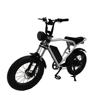 Off-Road 20*4.0 Ηλεκτρικό ποδήλατο ελαστικών Κέντα για συναρπαστικές διαδρομές και γρήγορη αποστολή