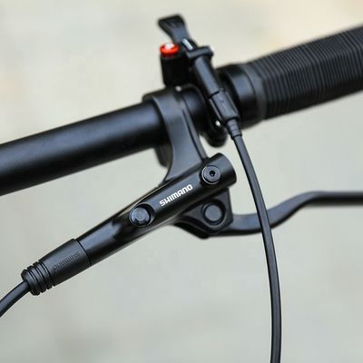 29 ιντσών υποστήριξη OEM Mountain Bike με YBN S12S Chain 12 Speed MTB 2022 σκληρό πλαίσιο