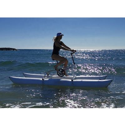 Ξενοδοχείο Resort Υδροπαιχνίδια εξοπλισμός Σύνθετο ποδήλατο πεδάλιο πλωτό φουσκωτό ποδήλατο νερού