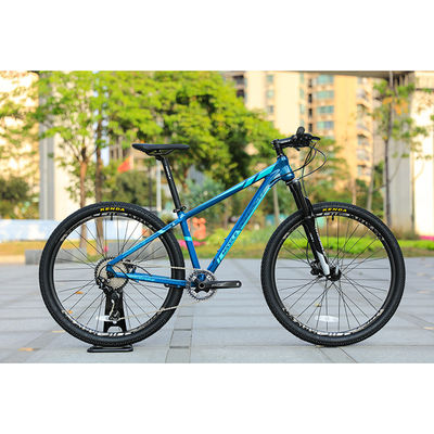 29er Speed Mountain Bike με Custom Carbon Fiber Frame και Prowheel TEN-M601 Κρανκσέτ