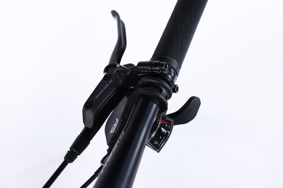 Διπλό τοίχωμα Cnc Lady Mountain Bike για έξυπνη οδήγηση Yinxing Υδραλικό φρένο δίσκου