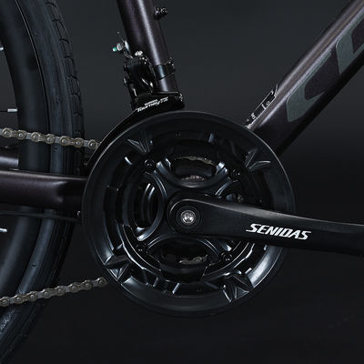 700*35C Τεχνη Flat Bar Adventure Bike με συνηθισμένο πεντάλ και υλικό αλουμινίου πιρούνι