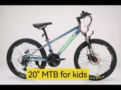 20 ιντσών MTB
